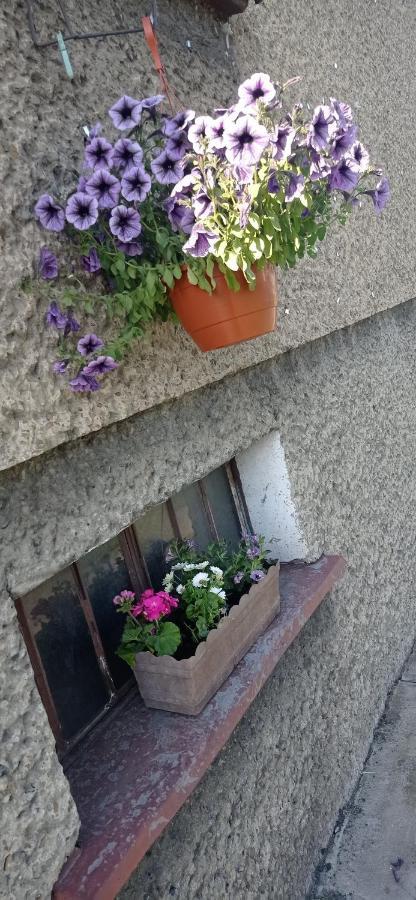 Apartament Szostka Nad Sola Czaniec Exterior photo